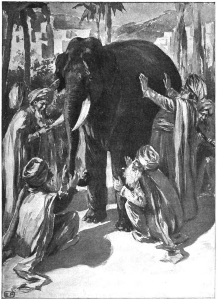 Blind men and the elephant